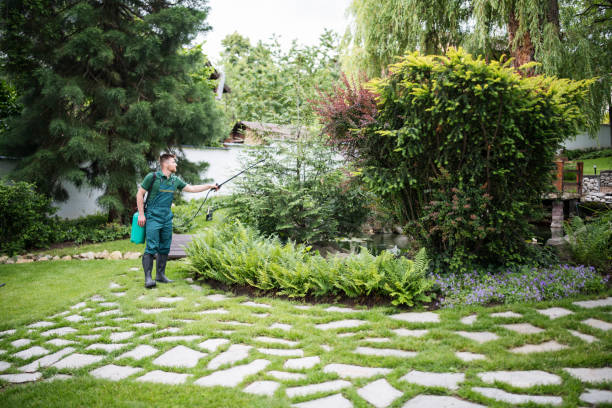 Best Organic Lawn Care Solutions  in Loch Lomond, VA