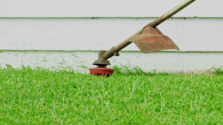 Best Lawn Mowing  in Loch Lomond, VA